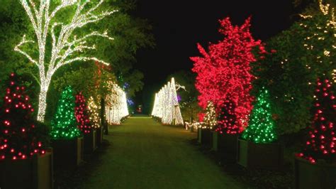 redding garden of lights|New attractions illuminate the 4th year of Redding's Garden of .